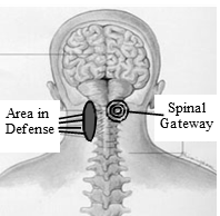Diagram showing Area in Defense and Spinal Gateway on the spine