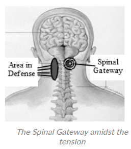 Spinal Gateway