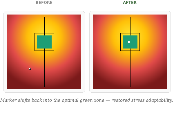 Heart Rate Variability Stress Scans before and after NetworkSpinal Care.